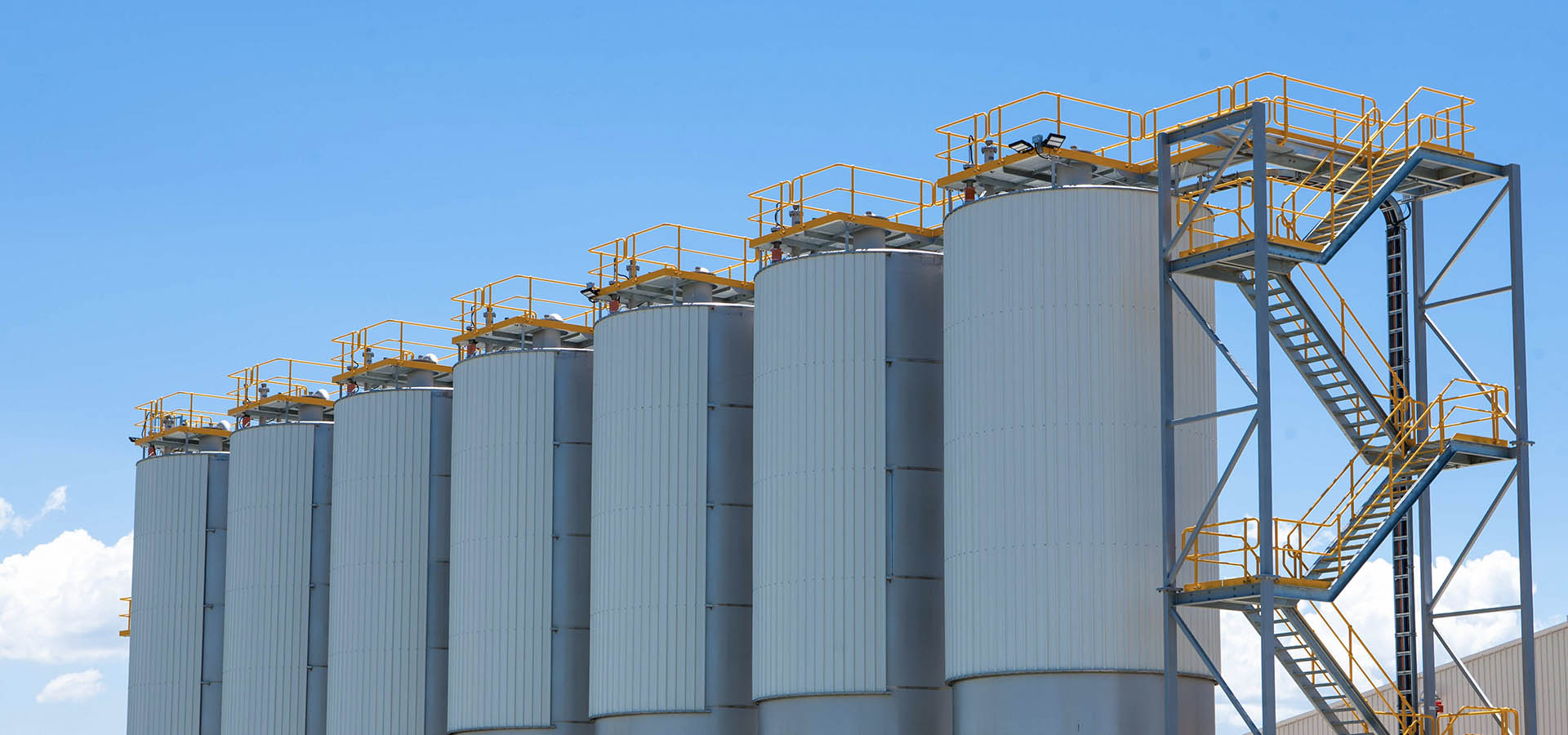 Petrochemical Sustainability
